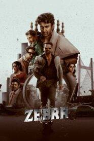Zebra (2024) Hindi Dubbed AMZN