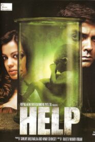Help (2010) Hindi HD