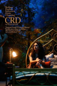 CRD (2016) Hindi HD